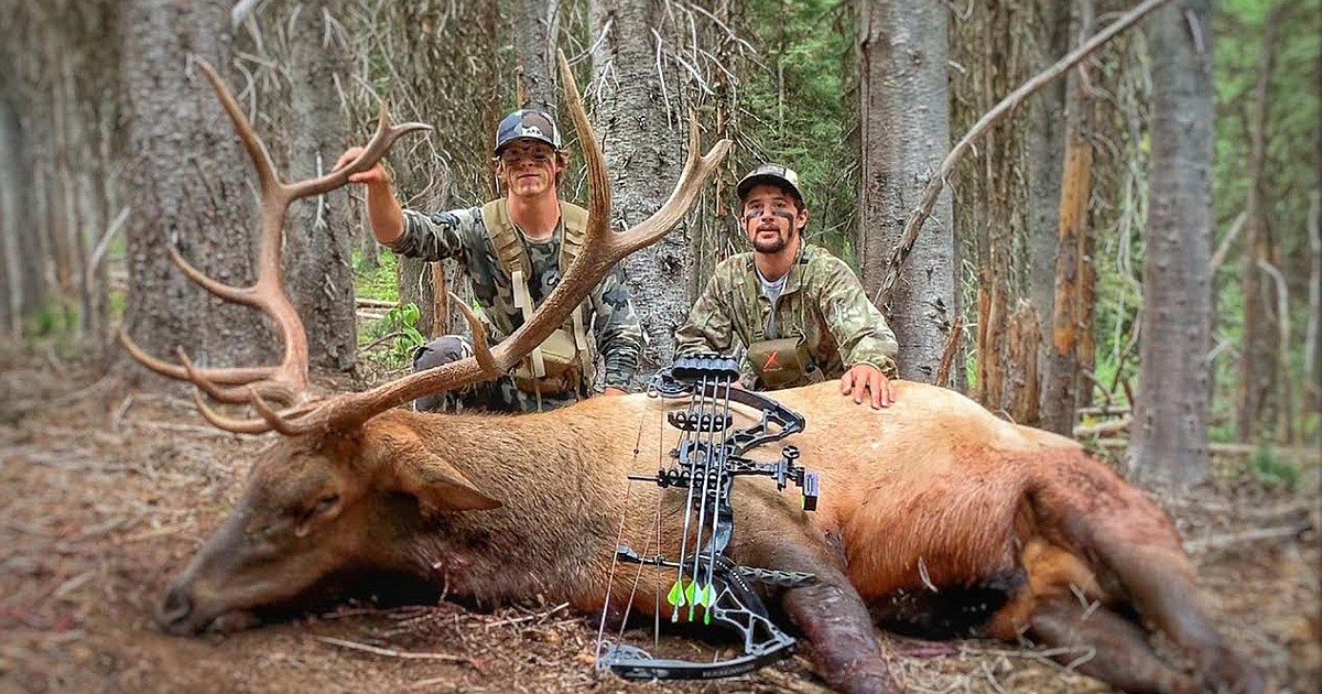 Archery hunters eagerly await elk season opener | Valley Press/Mineral  Independent